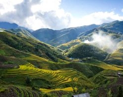 What is the Best Day to Book United Airlines Flights?